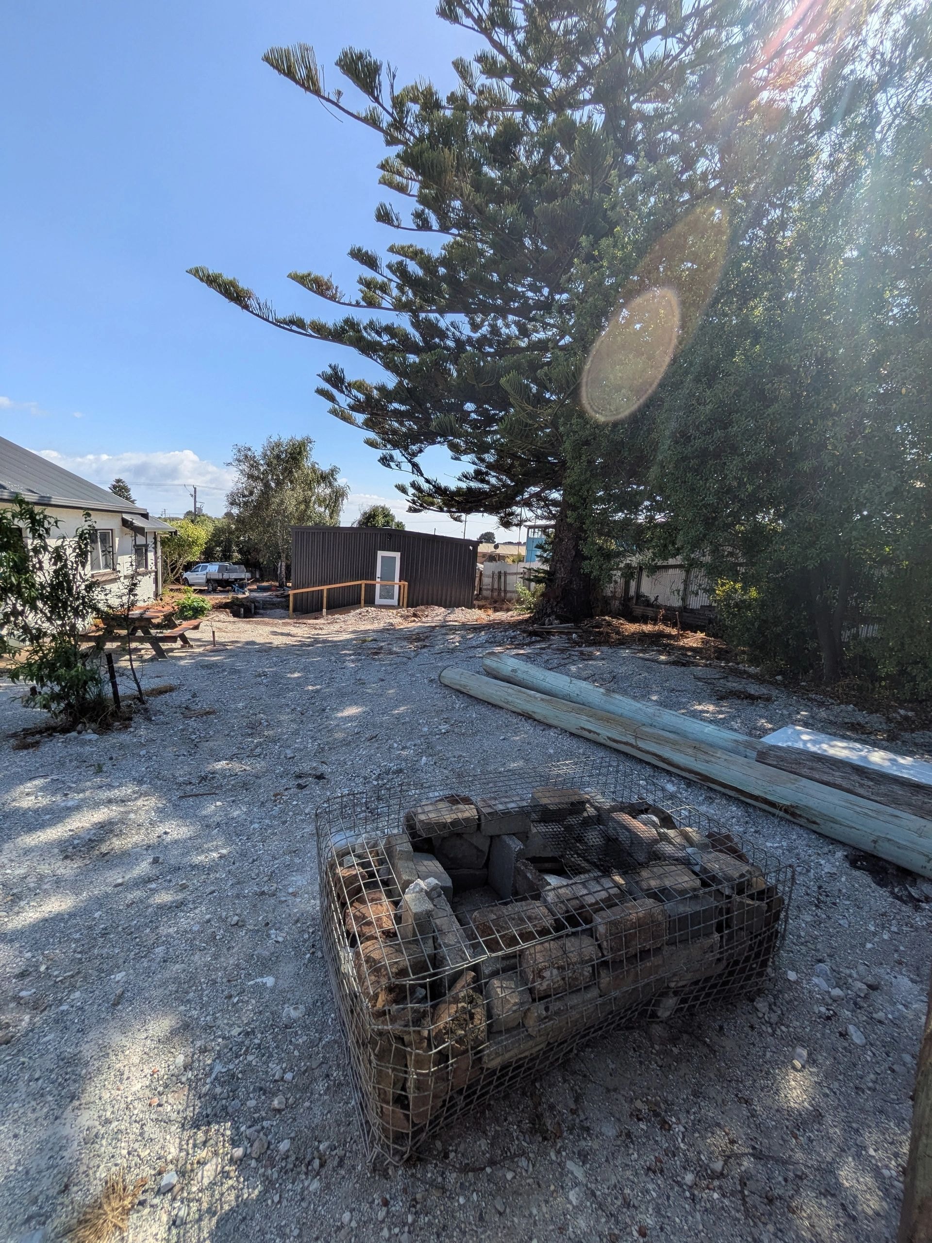 Outdoor grounds with fire pit and large tree